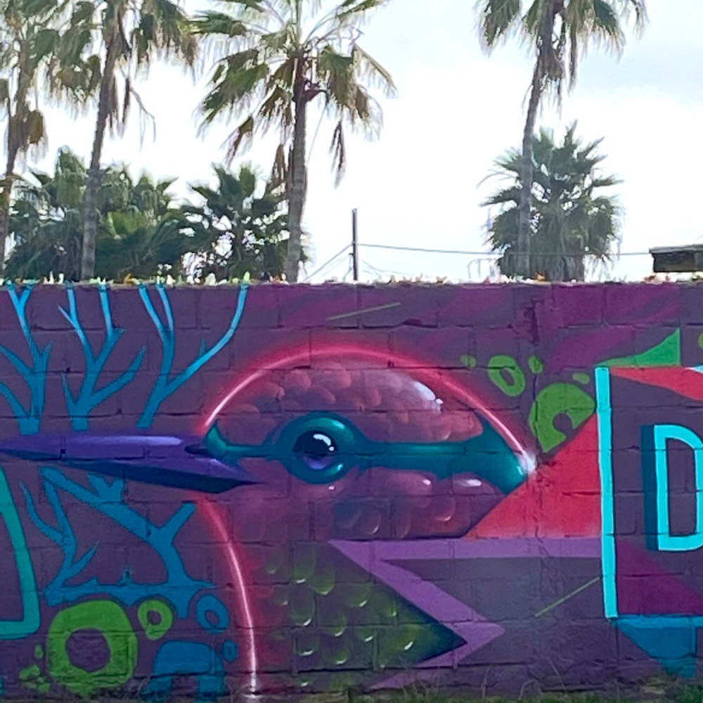 Meet your Posher, Andrea